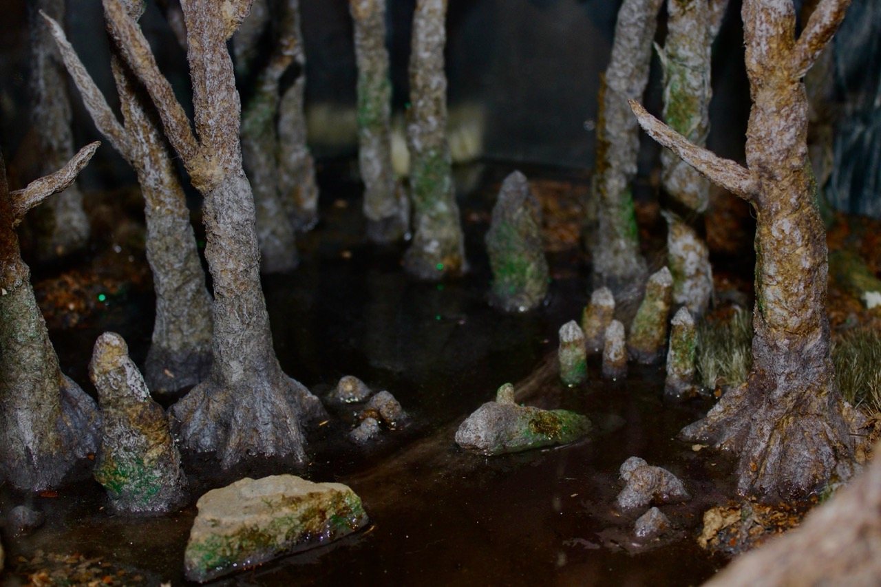 Mini wetland diorama