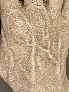 close up of back of the hand cast showing deep skin wrinkles and and network of protruding veins