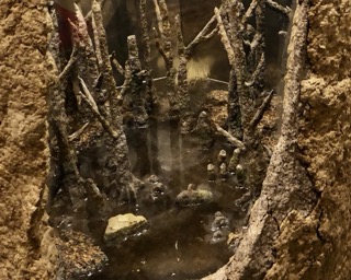 placeholder image 1