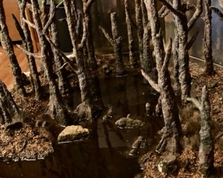 begin swamp