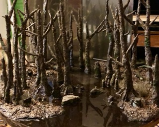 swamp