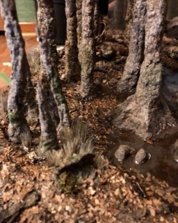 swamp