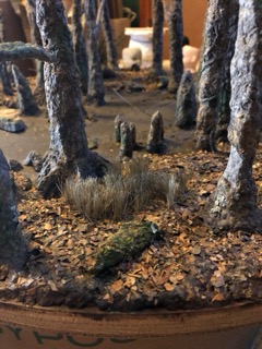 swamp